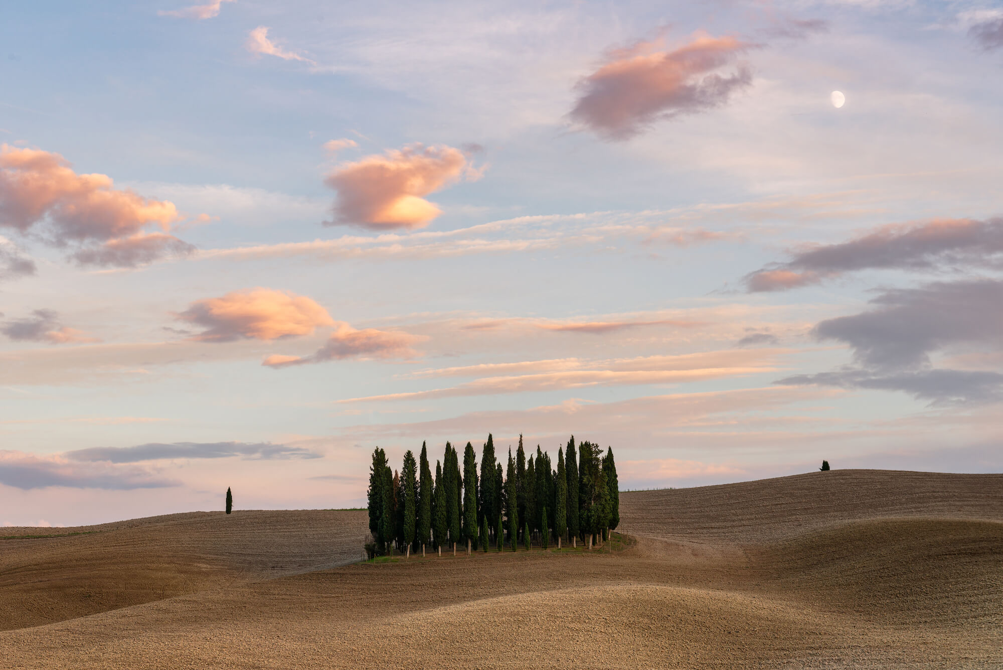 cipressi di san quirico d'orcia